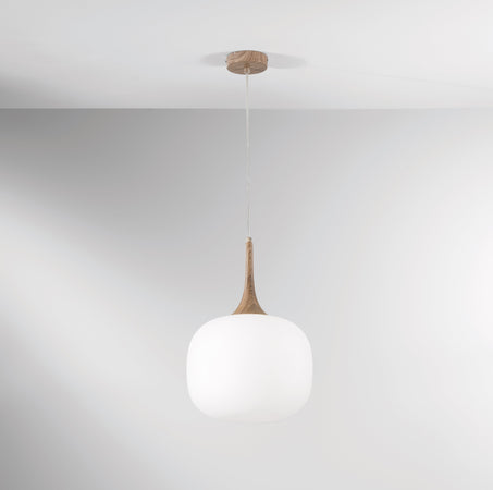 Sospensione in metallo con diffusore in vetro Bianca/Legno 1Xe27 10X30X150Cm