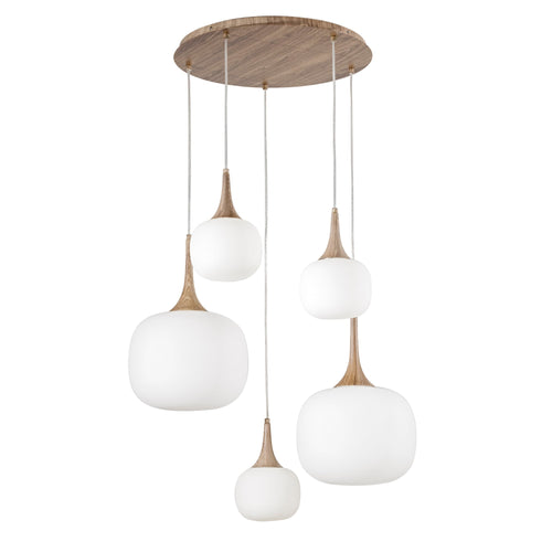 Sospensione in metallo con cinque diffusori in vetro Bianca/Legno 2Xe27+3Xe14 50X70X200Cm