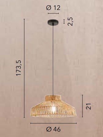 Lampada a Sospensione , 46 cm Trasparente 1Xe27 46X21X173,5Cm