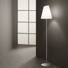 Piantana , disponibile con cavo in PVC Nero 165X31 CM