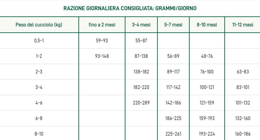 Oasy One Animal Protein Puppy e Junior Medium/Large Salmone per Cani