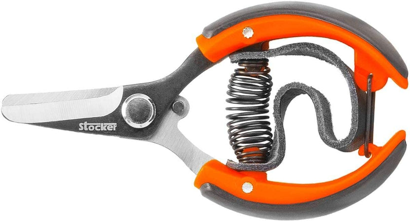Tenaglietta per agrumi in acciaio inox con manici rivestiti in plastica lama curva da 10 cm