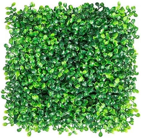 Siepe artificiale per parete sempreverde verticale Bosso da intero ed esterno 1 x 1 mt