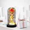 Idea Regalo ROSA ETERNA in Ampolla di vetro con led