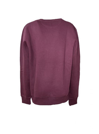 GANT felpa Uomo 2046040 gant da uomo