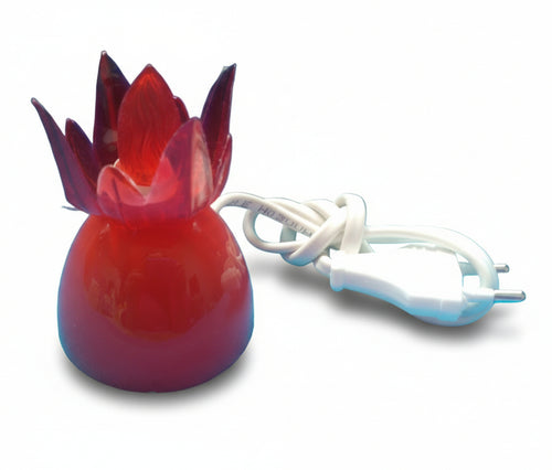 LUCCIOLA A NEON CON CAVO E SPINA 230V.