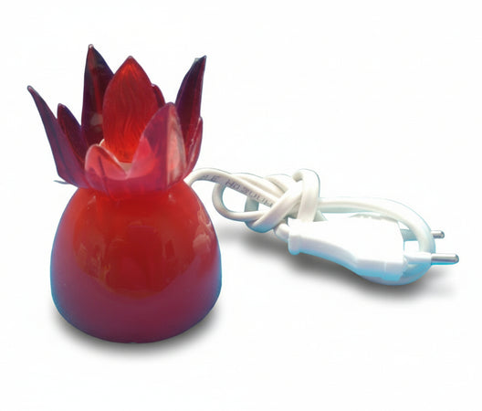 LUCCIOLA A NEON CON CAVO E SPINA 230V.