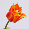 Fiore artificiale tulipano effetto realistico con stelo e foglie verdi