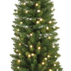 Albero di natale Slim Pencil Pine con Led in PVC Altissima qualità
