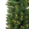 Albero di natale Slim Pencil Pine con Led in PVC Altissima qualità