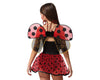 Costume da Carnevale Coccinella