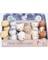 My First Arctic Animals - Assortimento 12 pezzi (6 soggetti) con Espos Tikiri