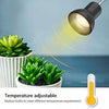 Lampada Riscaldante da 25 W con Supporto Lampada Basking UVA UVB