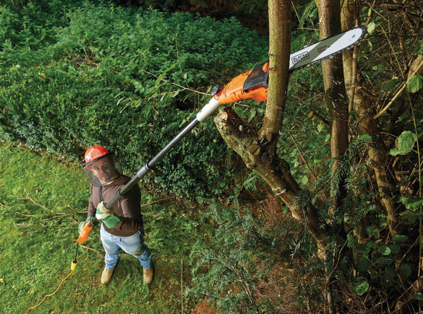 Black+Decker Sega Per Potatura Elettrica Ps7525-Qs 800 W Barra Cm. 25 Asta Telescopica