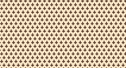 Bonita Plastica Adesiva In Pvc 26D/02 Rotolo Cm.45 (H) X 20 Mt (L). 20.00 Metri