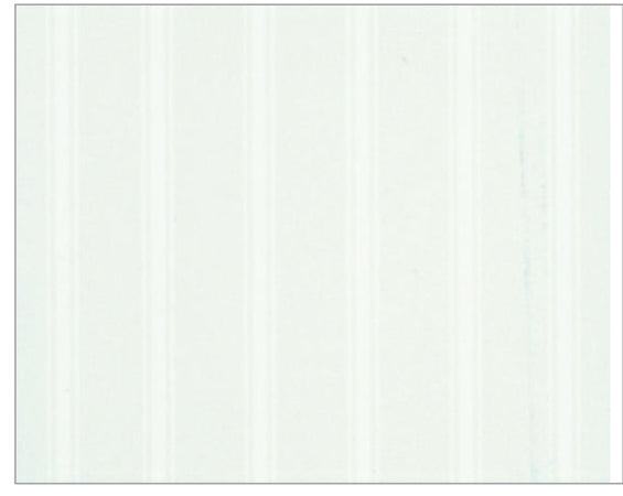 Bonita Tenda Per Doccia In Pvc Fantasia 8000 Bianca Cm. 240X200 H