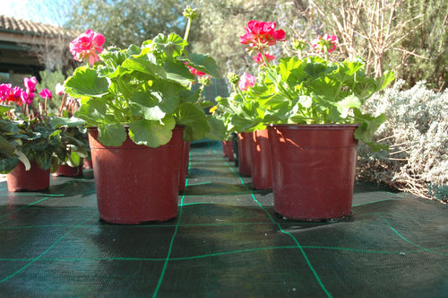 Confine Rete Per Pacciamatura Verde Lunghezza Mt. 10 H.Mt.2,00 20.00 Mq