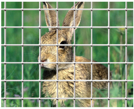 Confine Rete Per Recinzioni Elet/Zinc Maglia Mm.12X12 Ø Filo Mm.0,90-H Cm.100