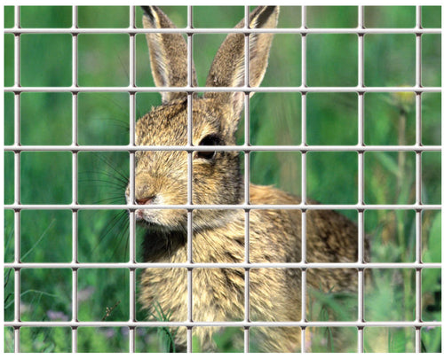 Confine Rete Per Recinzioni Elet/Zinc Maglia Mm.12X25 Ø Filo Mm.1,45-H Cm. 60