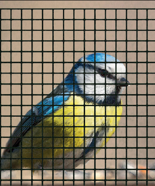 Confine Rete Per Recinzioni Plast. Maglia Mm.12X12 Ø Filo Mm.1,20 H Cm.100 Col. Nero