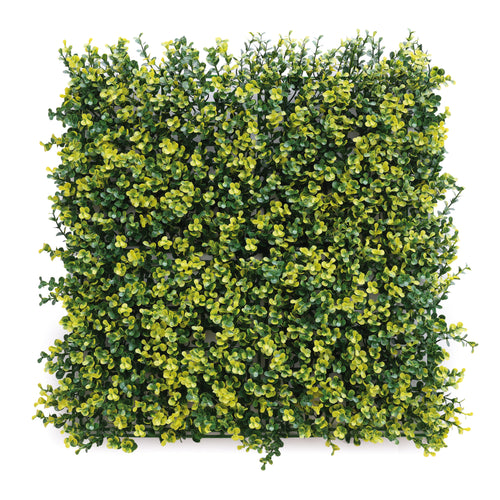 Confine Siepe Artificiale Da Parete Mod. Bosso Cm. 50X50