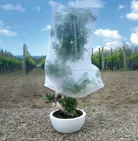 Confine Telo Antigelo In Tnt A Sacco Per Piante Cm.150X360 Pz. 1