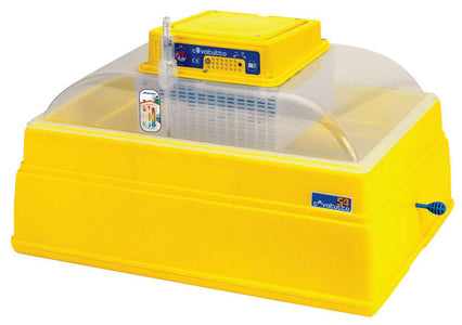 Incubatrice Covatutto 54 Cm. 58X41X38 H