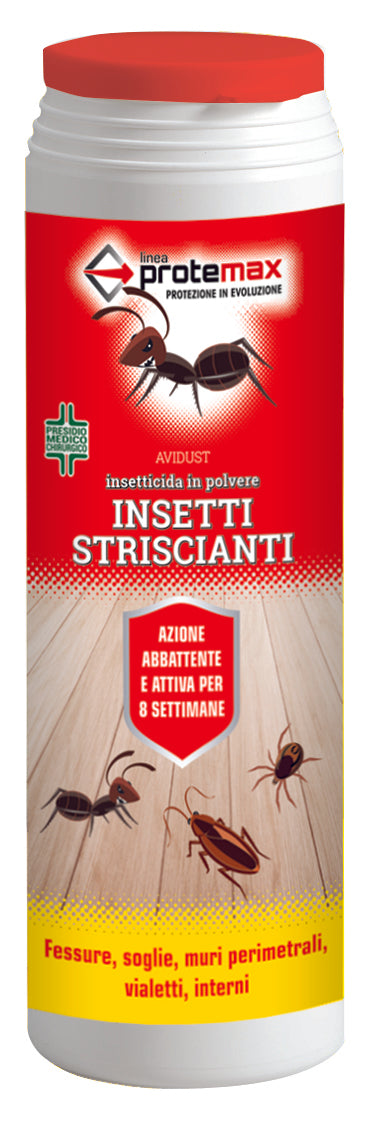 Insetticida In Polvere Gr. 500 12.00 Pz