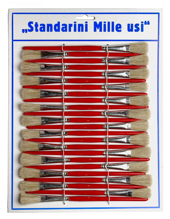 Pennelli Standarini Mille Usi 24 Pz.
