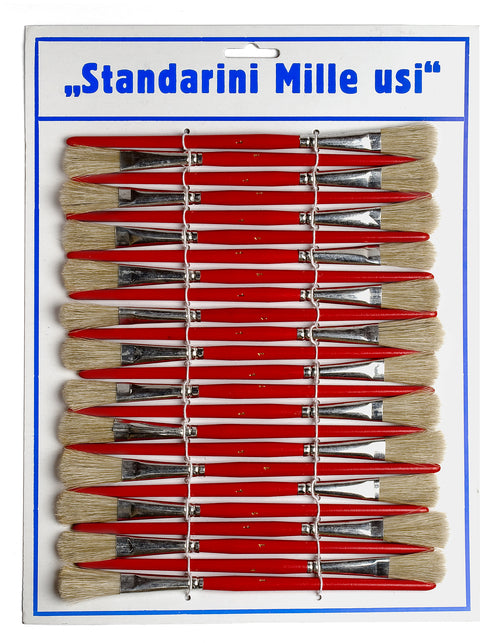 Pennelli Standarini Mille Usi 24 Pz.