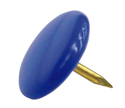 Puntina Colorata 100 Pz. Blu 10.00 Confezioni