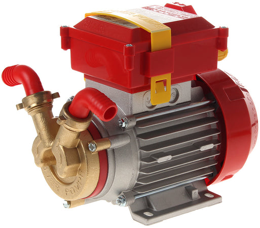 Rover Pompe Elettropompa Da Travaso Rover 20 Ce Hp 0,50 (Ø Mm. 20)