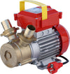 Rover Pompe Elettropompa Da Travaso Be-M 40 Hp 1,2 (Ø Mm. 40)
