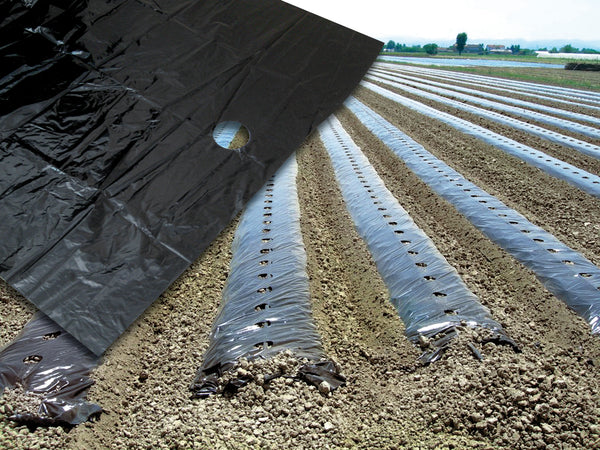 Telo Per Pacciamatura Fori Centrali Distanza Fori Cm. 30 H. Cm. 120 Rotolo Mtl. 30