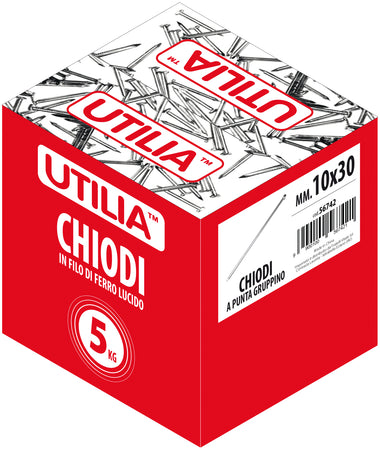 Utilia Chiodo A Punta Gruppino Mis. 12X40 Mm. 5.00 Kg