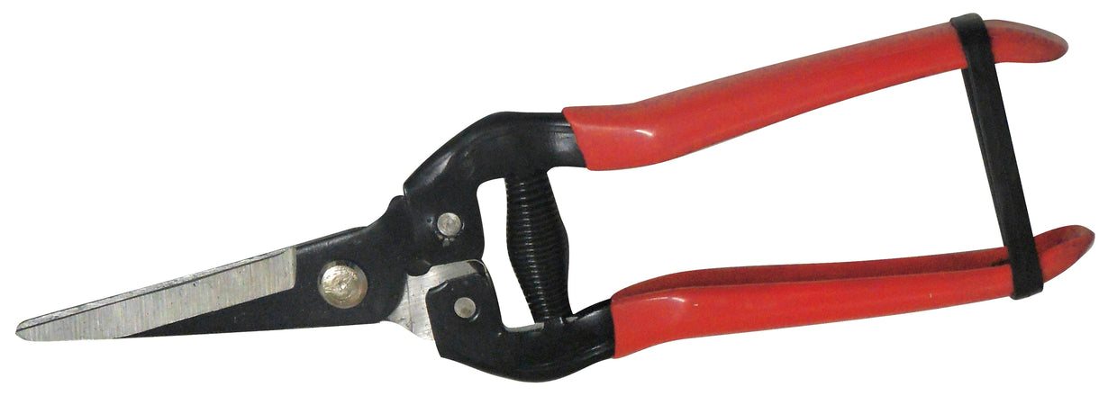 Utilia Forbici Cogliuva Lama Dritta Cm. 19 10.00 Pz