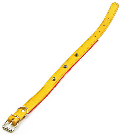 Utilia Pet Collare In Cuoio Felpato Con Borchie Cm. 51X2,5 Col. Assortiti 6.00 Pz