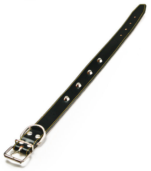 Utilia Pet Collare In Cuoio Foderato Con Borchie Cm. 51X2,5 Col. Assortiti