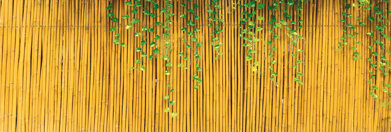 Utilia Top Quality Arelle In Canna Di Bambù Ø Mm 15 Cm. 150X300