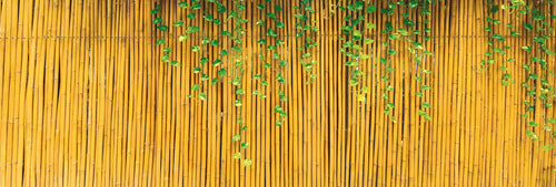 Utilia Top Quality Arelle In Canna Di Bambù Ø Mm 15 Cm. 200X300
