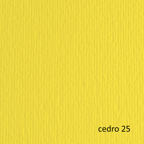 Blister 20Fg Cartoncino 50X70 220Gr Cedro 25 Fabriano Elle Erre