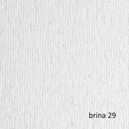 Blister 20Fg Cartoncino 50X70 220Gr Brina 29 Fabriano Elle Erre