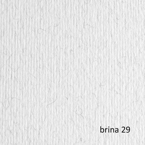 Blister 20Fg Cartoncino 50X70 220Gr Brina 29 Fabriano Elle Erre