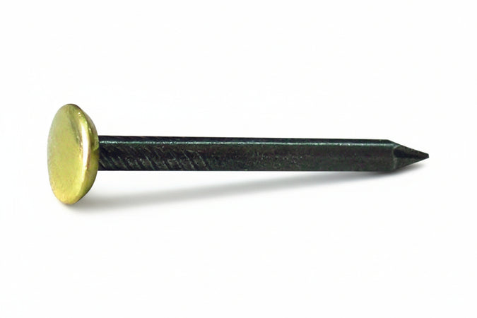 Chiodo In Acciaio Con Testa In Ottone Pz.100 Mm. 2X20 10.00 Confezioni