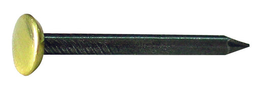 Chiodo In Acciaio Con Testa In Ottone Pz.100 Mm. 2X35 10.00 Confezioni