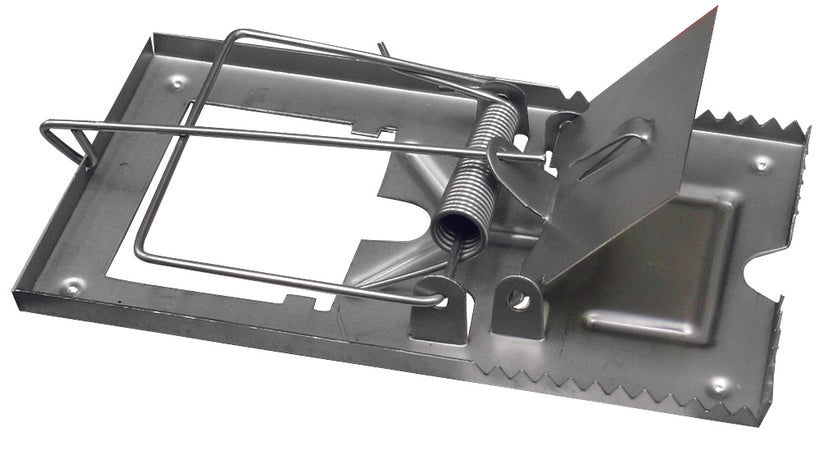 Trappola Per Topi Tipo Piccolo 20.00 Pz