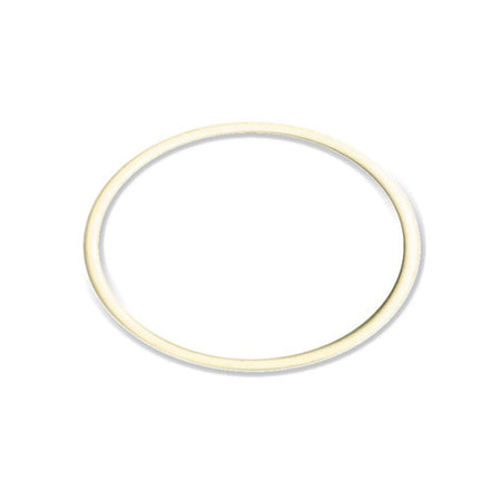 Guarnizione Per Filtro Depuratore Seagull Ricambio Originale Its Todini 10.54