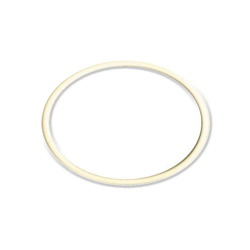 Guarnizione Per Filtro Depuratore Seagull Ricambio Originale Its Todini 10.54