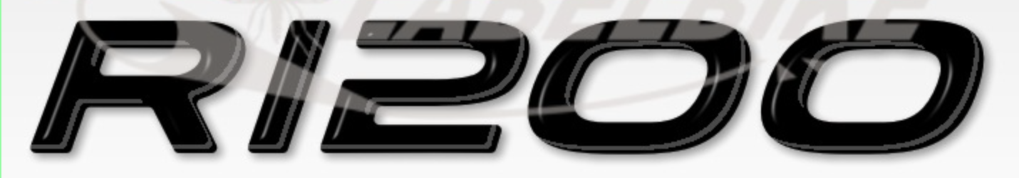 2 ADESIVI in RESINA GEL SCRITTE R1200 compatibili per MOTO BMW GS - Stickers 3D