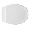 Sedile Wc Universale Duroplast Modello Panchetta- Bianco- Dh- Pezzi 1